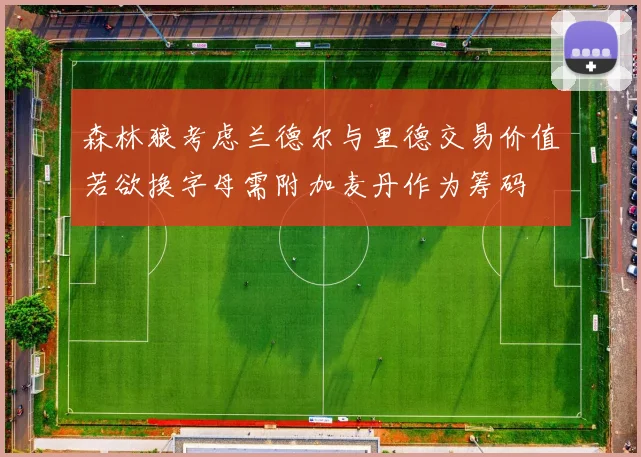 森林狼考虑兰德尔与里德交易价值若欲换字母需附加麦丹作为筹码