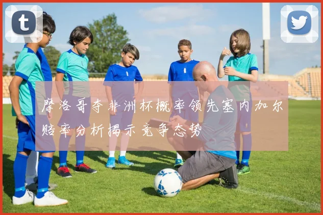 摩洛哥夺非洲杯概率领先塞内加尔赔率分析揭示竞争态势