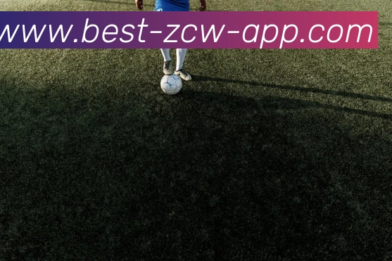 App Interface Preview